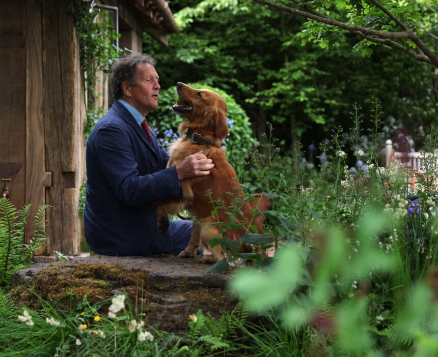 Monty Don with dogs in the RHS Dog Garden at Chelsea Flower Show surrounded by clover and daisies.