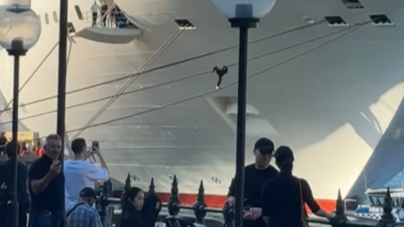 Crowd watches as man climbs cruise ship ropes at Circular Quay