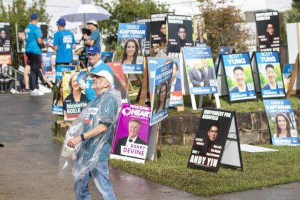 Randwick Council votes on banning election corflutes from power poles and parking signs in Sydney