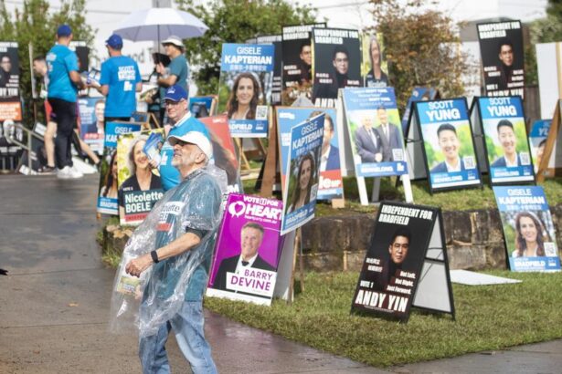 Randwick Council votes on banning election corflutes from power poles and parking signs in Sydney