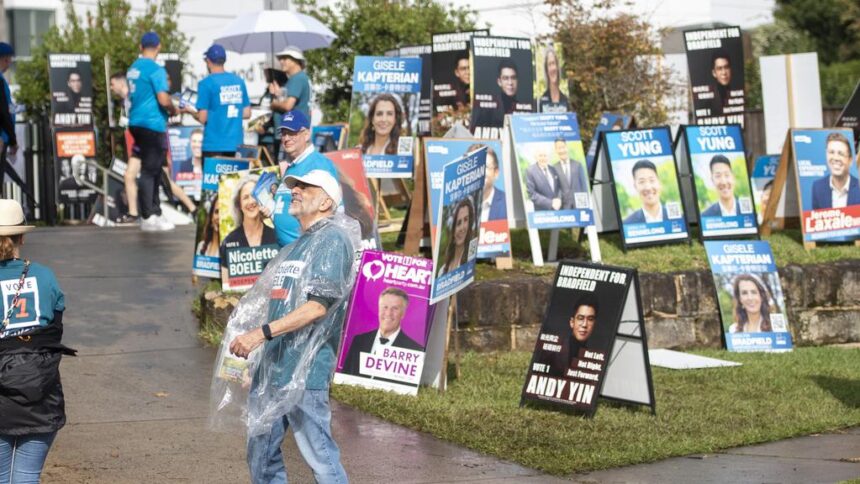 Randwick Council votes on banning election corflutes from power poles and parking signs in Sydney