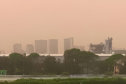 A dust storm sweeping through Sydney has turned the city skyline a shade of red.