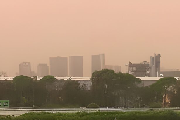 A dust storm sweeping through Sydney has turned the city skyline a shade of red.