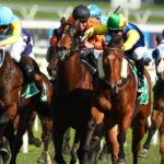 Bengal winning at Royal Randwick 2025