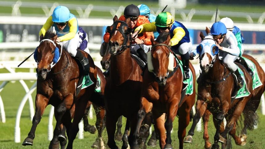 Bengal winning at Royal Randwick 2025