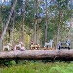 Rocking horses on Clyde Mountain before removal