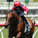 Open Secret has big things ahead this prep if she can live up to her trainer’s expectations starting on Saturday at Royal Randwick. Picture: Getty Images
