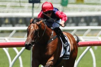 Open Secret has big things ahead this prep if she can live up to her trainer’s expectations starting on Saturday at Royal Randwick. Picture: Getty Images