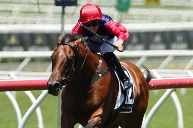 Open Secret has big things ahead this prep if she can live up to her trainer’s expectations starting on Saturday at Royal Randwick. Picture: Getty Images