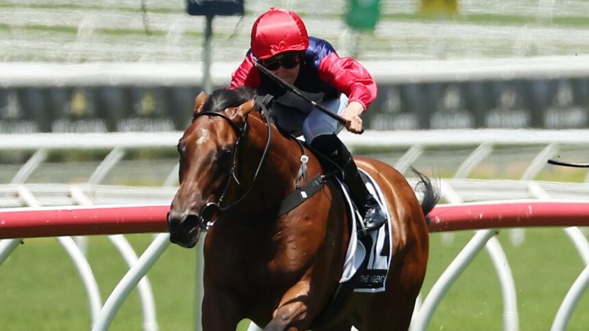 Open Secret has big things ahead this prep if she can live up to her trainer’s expectations starting on Saturday at Royal Randwick. Picture: Getty Images